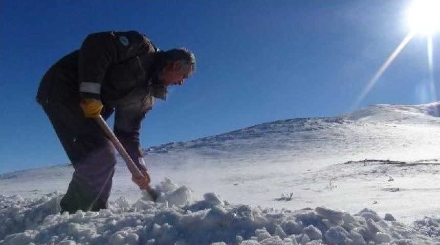 Yaban Hayata Yem Bırakıldı