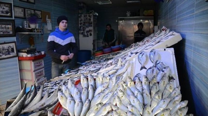 Karın Yağmasıyla Bilecik&rsquo;te Balık Fiyatları D&uuml;şt&uuml;