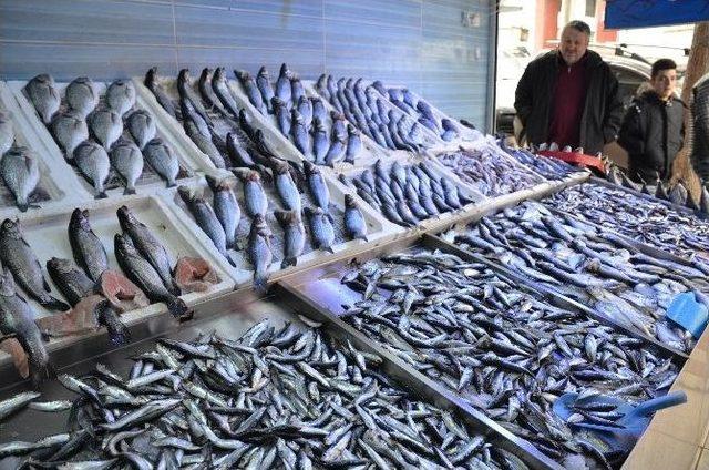 Karın Yağmasıyla Bilecik’te Balık Fiyatları Düştü