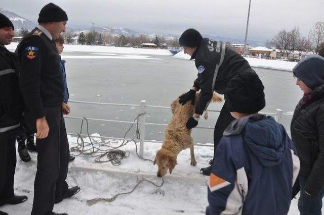 Buz Tutan Gölete Düşen Köpeği Kurtarma Seferberliği