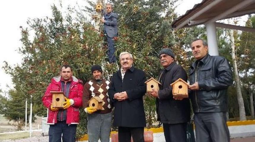 Kahta'da, Kuşlar Donmaktan Kurtarılıyor