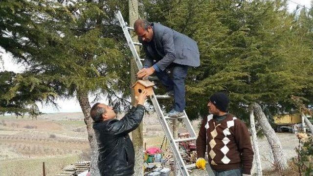 Kahta'da, Kuşlar Donmaktan Kurtarılıyor