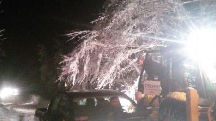 Kardan Ağa&ccedil;lar Yola Devrildi, Ara&ccedil;lar Mahsur Kaldı