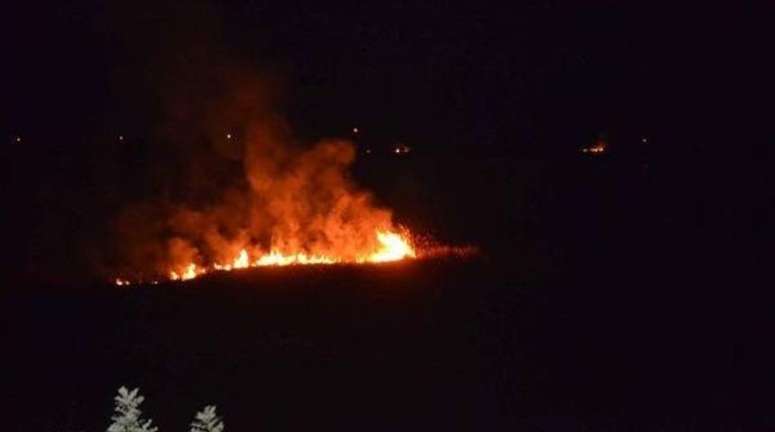 Kuş Cennetinin Bulunduğu Karag&ouml;l'de &Ccedil;ıkan Yangın S&ouml;nd&uuml;