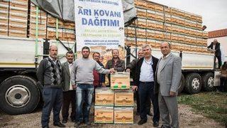 Ankara Büyükşehir Belediyesi 2017’de Üreticilere 4 Bin Arı Kovanı Dağıtacak