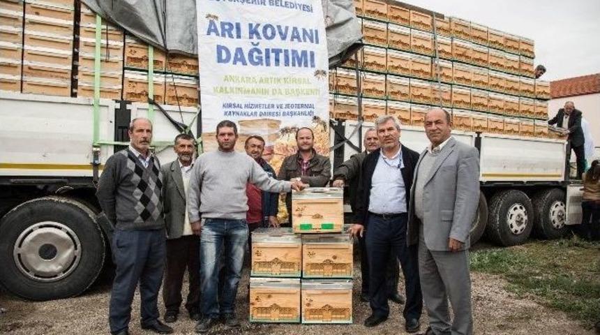 Ankara Büyükşehir Belediyesi 2017’de Üreticilere 4 Bin Arı Kovanı Dağıtacak
