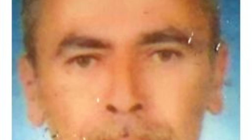 Tır'a &Ccedil;arpan Minib&uuml;s&uuml;n S&uuml;r&uuml;c&uuml;s&uuml; Yanarak &Ouml;ld&uuml; (2)