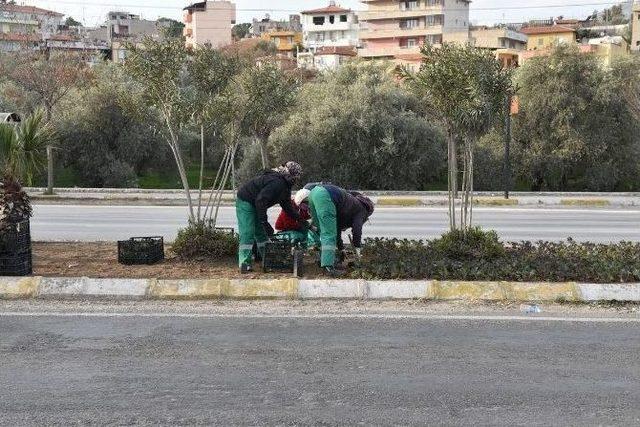 Milas’ta Kavşaklarda Yeni Düzenleme