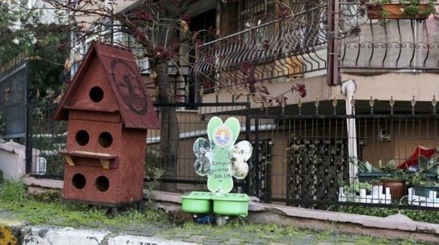 Sokak Hayvanlarına Rengarenk Yuvalar