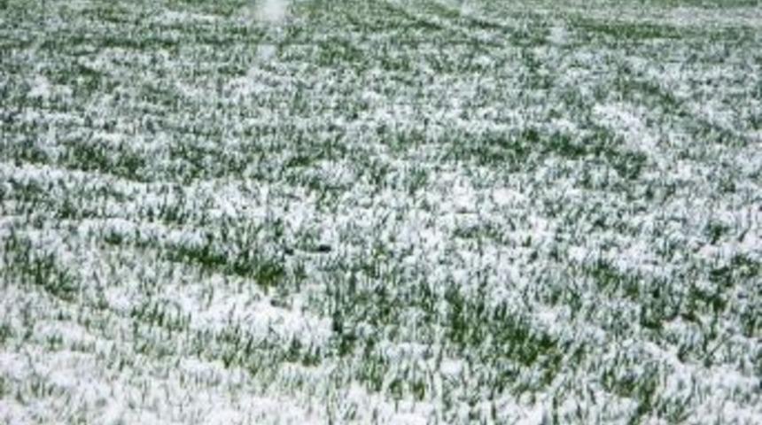 Aydın&rsquo;a Buzlanma Ve Zirai Don Uyarısı
