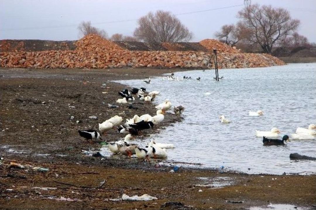 (&ouml;zel Haber) Bursa&rsquo;da Kuş Gribi Alarmı