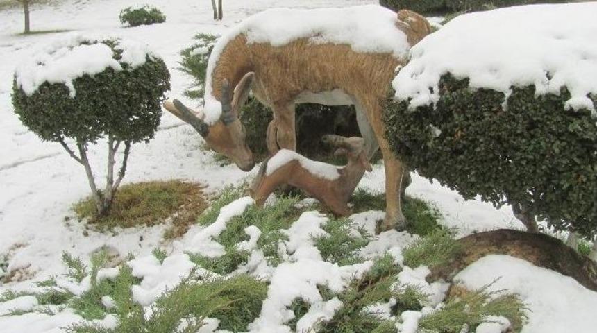 Araban&rsquo;da Kar Sevinci