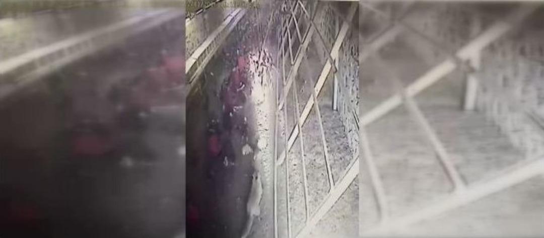 Tavuklar K&uuml;mese Giren Tilkiyi Kovaladı