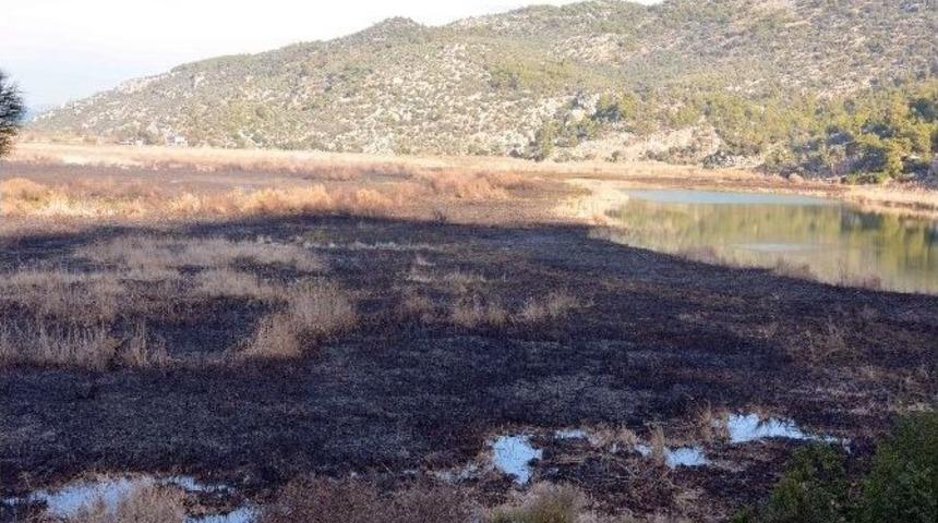 Kuş Cenneti K&uuml;l Oldu