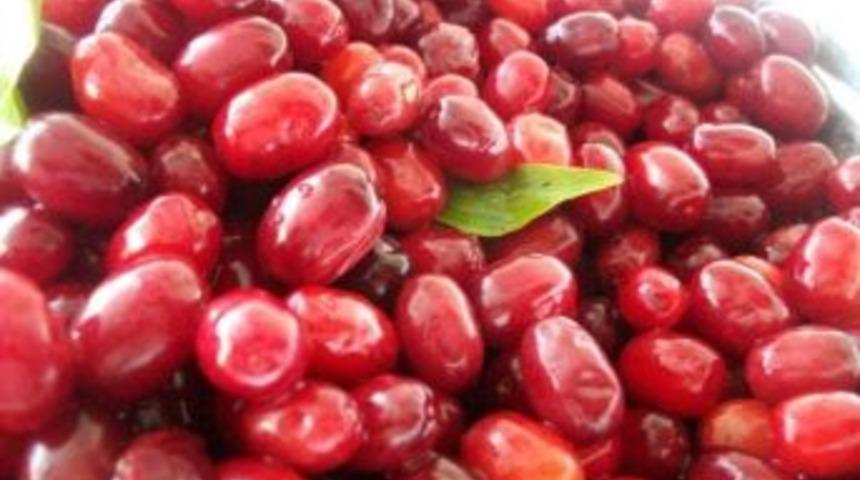 Gribe Karşı Kızılcık T&uuml;ketin