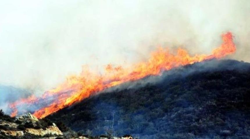 Makilik Alanda &Ccedil;ıkan Yangın Tarım Arazilerine De Sı&ccedil;radı