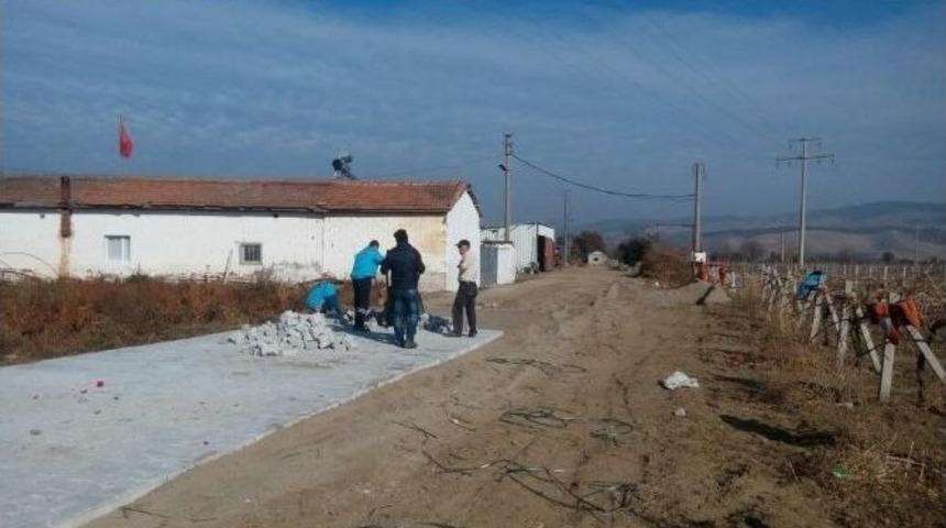 &Ccedil;amursuz Bir Kış Ge&ccedil;irecekler