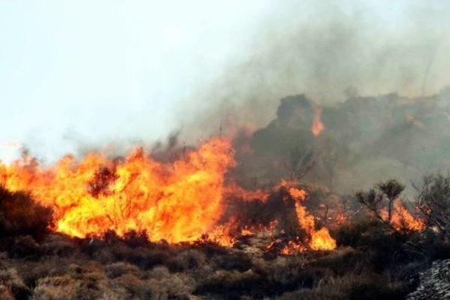 Makilik Alanda Çıkan Yangın Tarım Arazilerine De Sıçradı (2)