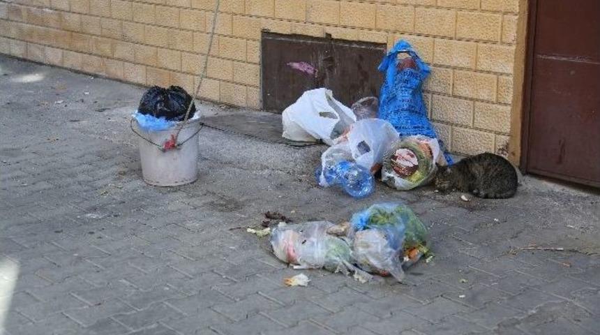 Milas&rsquo;ta İş&ccedil;iler Grevde