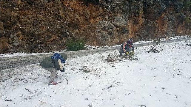 Manavgat’a 15 Yıl Sonra Kar Yağdı