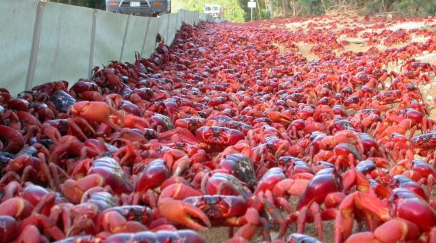 Yenge&ccedil;lerin aşk dansı