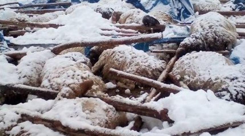 &Ccedil;&ouml;ken &Ccedil;atı Altında Kalan 125 K&uuml;&ccedil;&uuml;kbaş Hayvan Telef Oldu