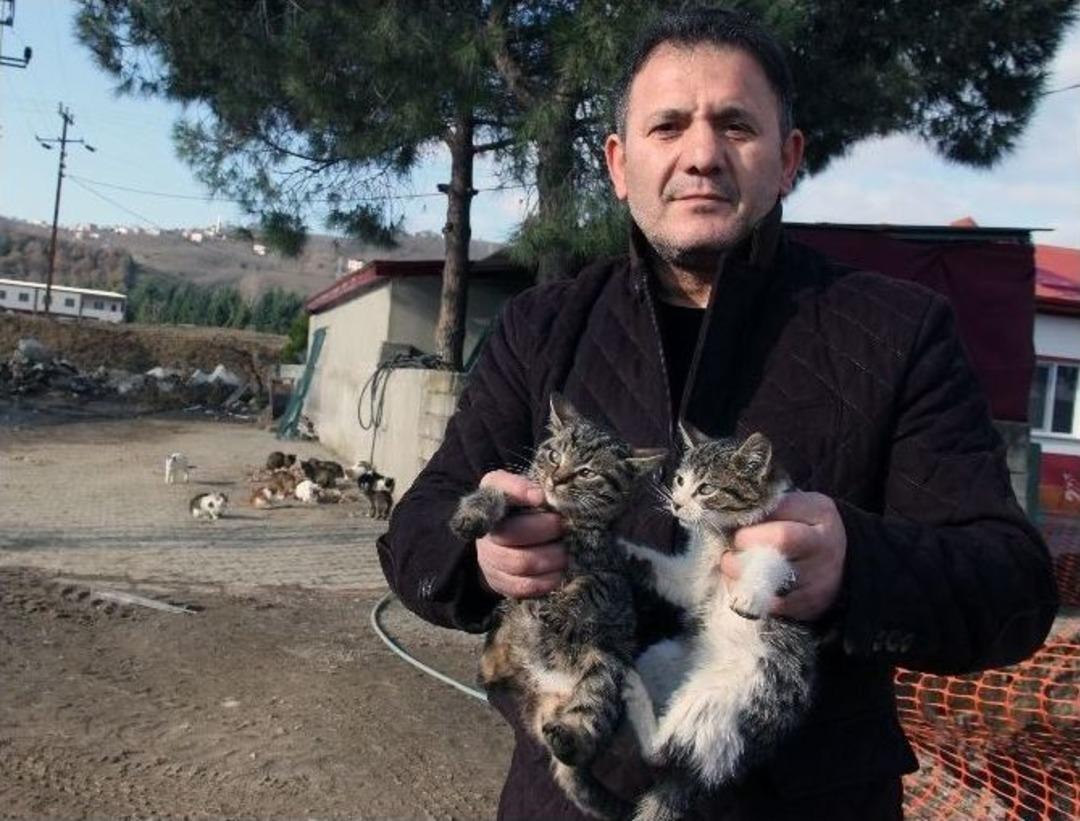 "burası Hayvan Barınağı Değil Sevgi Yuvası"