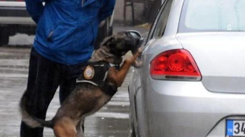 Bombayı K&ouml;pek 'lili' Kokluyor