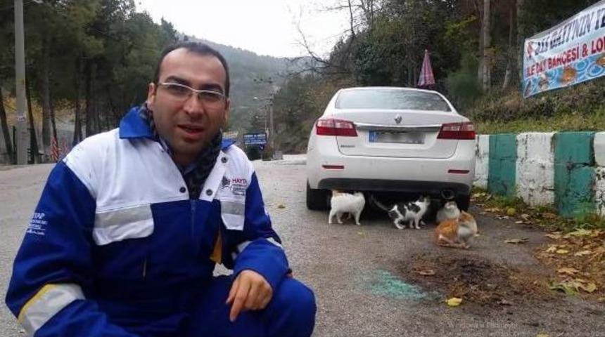 Haytap: Kedi Olabilir. Soğuk Havalarda Kaportaya Vurmadan Aracınızı Çalıştırmayın
