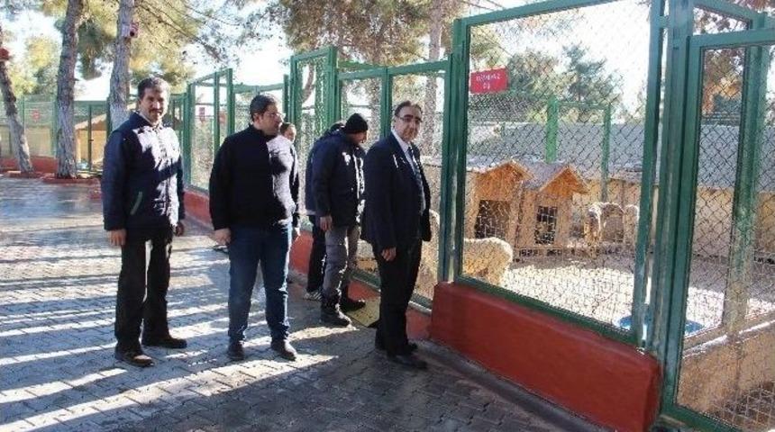 Hayvanları Korumak İ&ccedil;in Yerel M&uuml;fettişler Geliyor