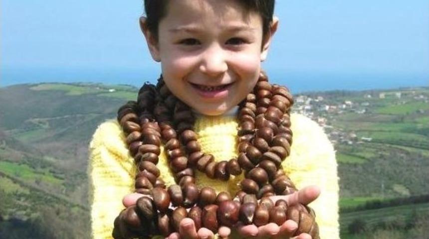 T&uuml;rkiye Kestane &Uuml;retiminde Avrupa Birincisi