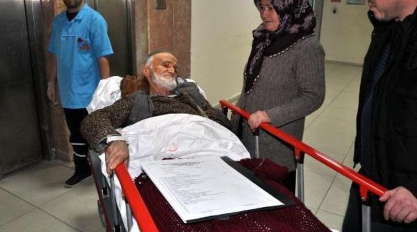 Ayı Saldırısından K&ouml;pekleri Sayesinde Yaralı Kurtuldu