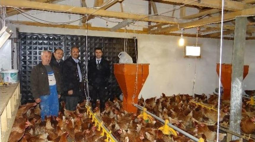 Tarımda Kasım Ayı Dolu Dolu Ge&ccedil;ti