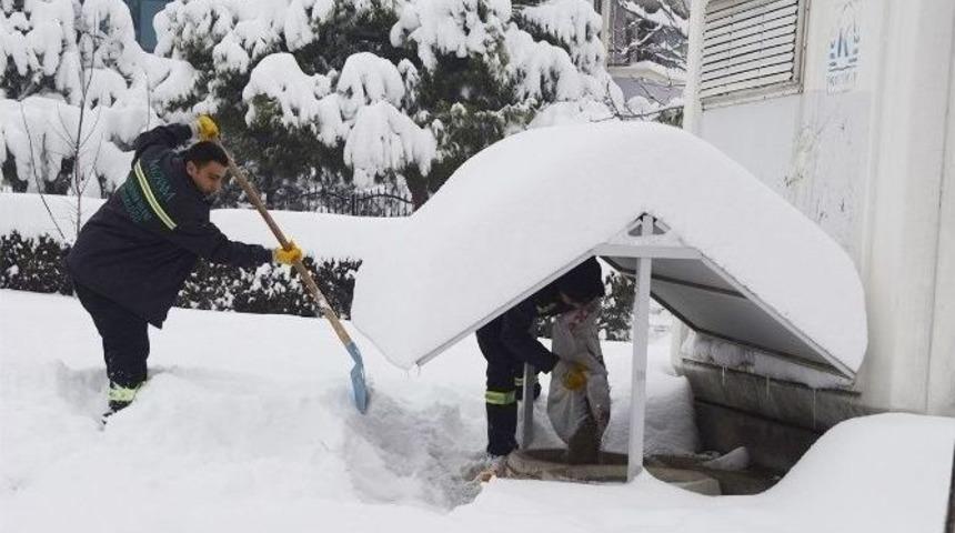 Meram&rsquo;da Sokak Hayvanlarına Sahip &Ccedil;ıkılıyor