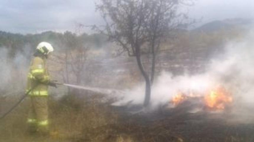 Burhaniye&rsquo;de Kıyı Yangını