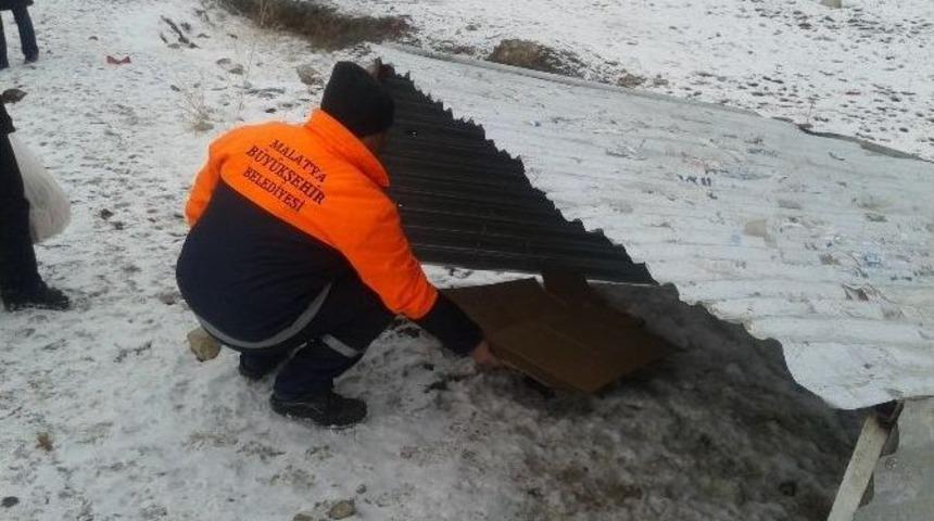 B&uuml;y&uuml;kşehirden Sokak Hayvanları İ&ccedil;in Barınak