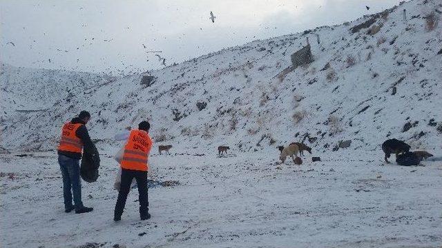 Büyükşehirden Sokak Hayvanları İçin Barınak