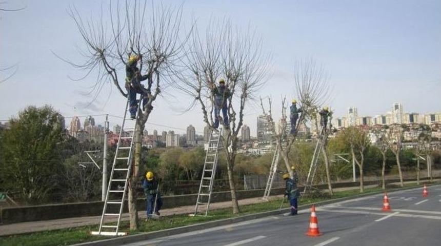 Başakşehir&rsquo;de Kış D&ouml;nemi Bakım &Ccedil;alışmaları
