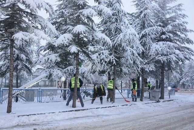 Seyitgazi Belediyesi’nin Karla Mücadele Çalışmaları