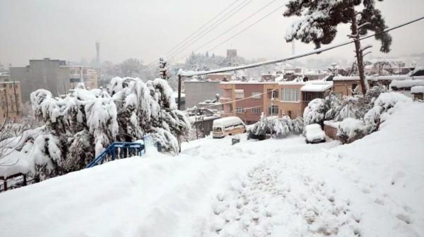 Mersin'de Kardan &Ccedil;&ouml;ken Ahırlardaki 125 Koyun Telef Oldu