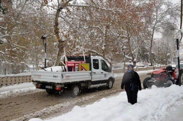 Mersin'de Kardan Çöken Ahırlardaki 125 Koyun Telef Oldu