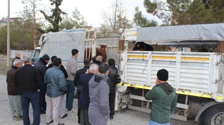 Samsat&rsquo;ta Gen&ccedil; &Ccedil;ift&ccedil;i Desteği İle Bayanlar İş Sahibi Oldular