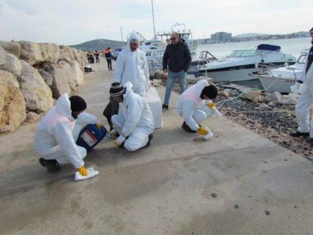 Çeşme'de Denize Sızan Yakıt Kirliliği Temizleniyor