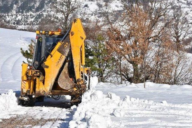 Sinop’ta Yoğun Kar Yağışı Köy Yollarını Kapattı