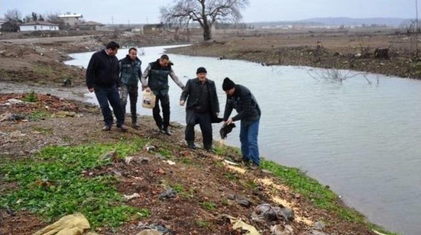 Biga&rsquo;da &Ouml;rdekler Yemlendi