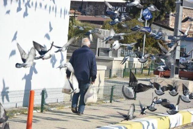 Kuşlar Yolunu Gözlüyor