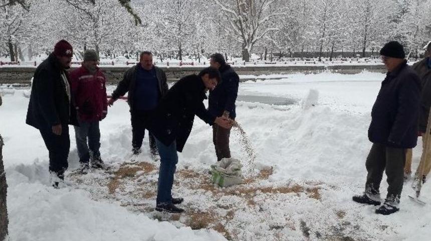 Seydişehir Belediyesi Kuşlar İ&ccedil;in Doğaya Yem Bıraktı