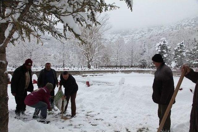 Seydişehir Belediyesi Kuşlar İçin Doğaya Yem Bıraktı