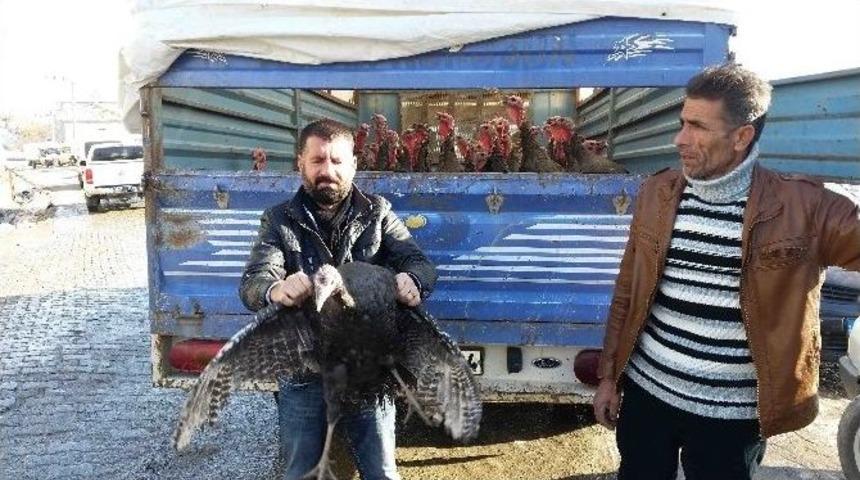 Kulp&rsquo;ta Hindi Satışları Başladı