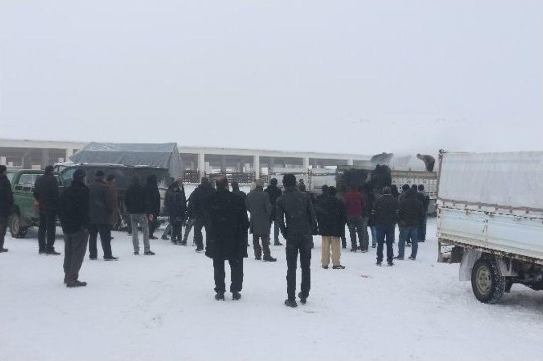 Bulanık&rsquo;ta Gen&ccedil; &Ccedil;ift&ccedil;ilere Hayvanları Dağıtıldı